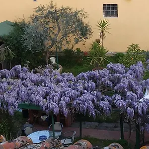 La Tinaia Firenze